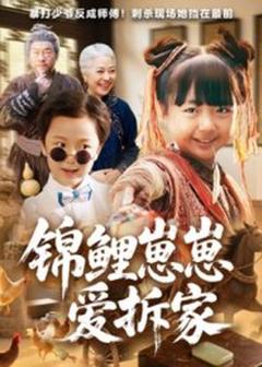 《锦鲤崽崽爱拆家》