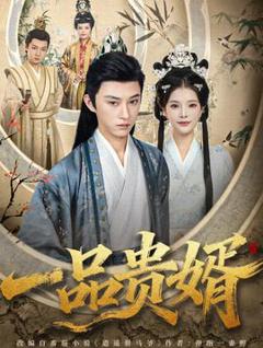 《一品贵婿》