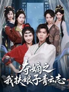 《夺嫡之我扶娘子青云志》