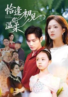 《恰逢初见你温柔》