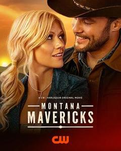 《蒙大拿不羁之恋》