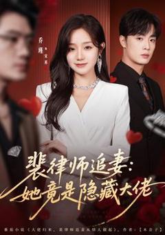 《裴律师追妻：她竟是隐藏大佬》