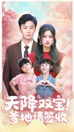 《天降双宝爹地请签收》