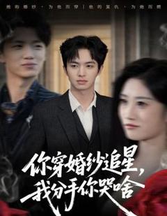 《你穿婚纱追星，我分手你哭啥》