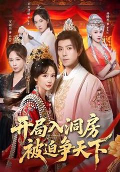 《开局入洞房，被迫争天下》