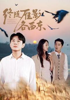 《终随雁影各西东》