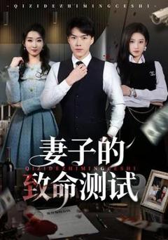 《妻子的致命测试》
