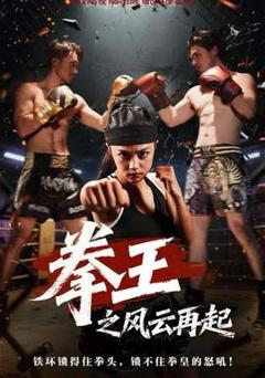 《拳王之风云再起》