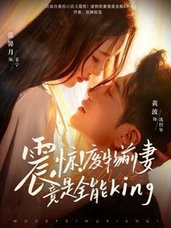 《震惊！废物前妻竟是全能King》