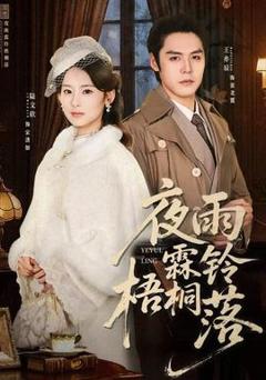 《夜雨霖铃梧桐落》