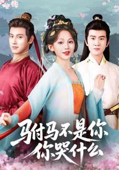 《驸马不是你，你哭什么》