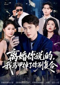 《离婚你说的，我马甲掉了你别复合》