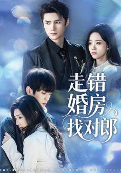 《走错婚房找对郎》