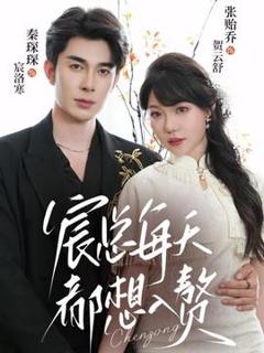 《宸总每天都想入赘》