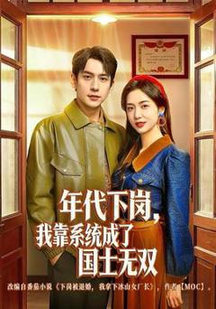 《年代下岗，我靠系统成了国士无双》