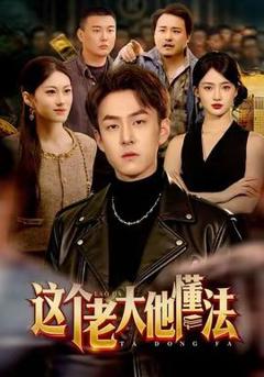 《这个老大他懂法》
