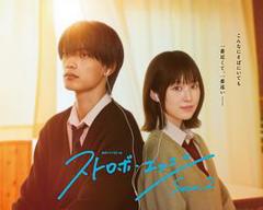 《闪烁的爱情第二季》