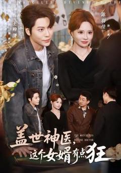 《盖世神医，这个女婿有点狂》