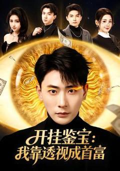 开挂鉴宝：我靠透视成首富