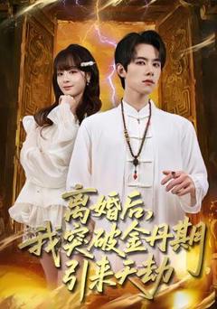 离婚后，我突破金丹期，引来天劫