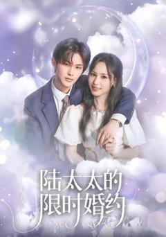 《陆太太的限时婚约》