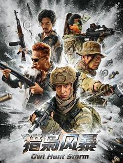 《猎枭风暴》