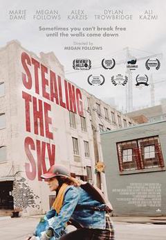 《窃取天空》