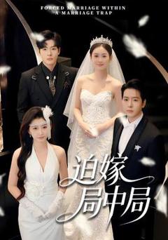 《迫嫁局中局》