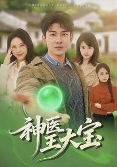 《神医王大宝》