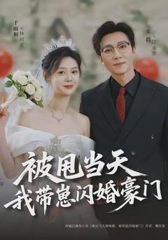 《被甩当天我带崽闪婚豪门》