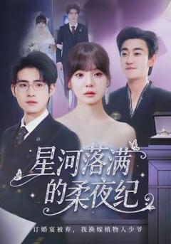《星河落满的柔夜纪》