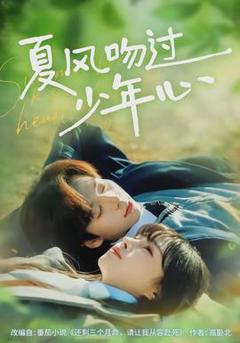 《夏风吻过少年心》