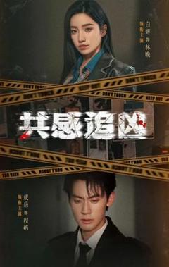 《共感追凶》