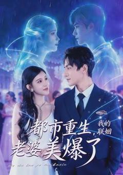《都市重生，我的联姻老婆美爆了》