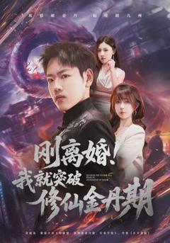 刚离婚！我就突破修仙金丹期