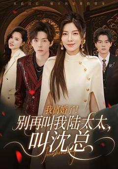 《我离婚了！别再叫我陆太太，叫沈总》