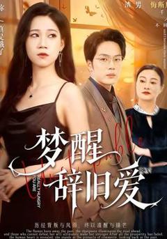 《梦醒辞旧爱》