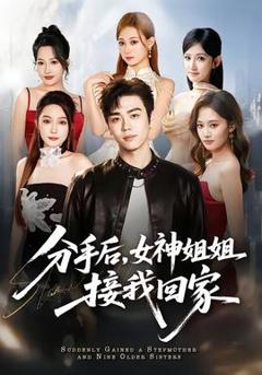 《分手后，女神姐姐接我回家》