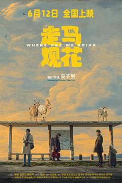 《走马观花预告片》