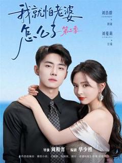 《我就怕老婆怎么了第二季》
