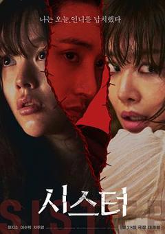 《姐妹206》