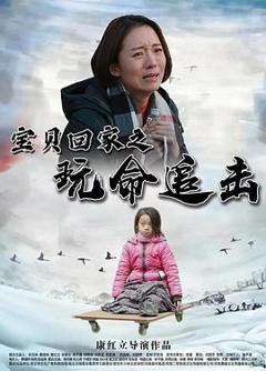 《宝贝回家之玩命追击》