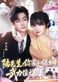 《陆先生，你家小保姆武力值爆表》