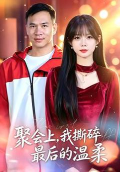 《聚会上，我撕碎最后的温柔》