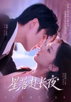 《星落赴长夜》