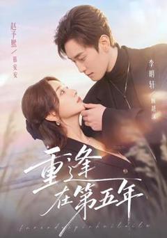 《重逢在第五年》