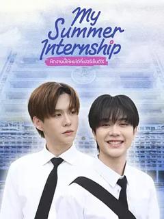 《我的夏日实习》