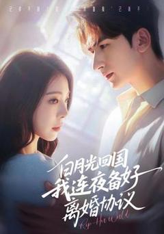 白月光回国我连夜备好离婚协议