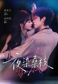 《夜染桑枝》