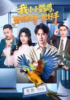 《我小小鹦鹉，整顿职场一把好手》